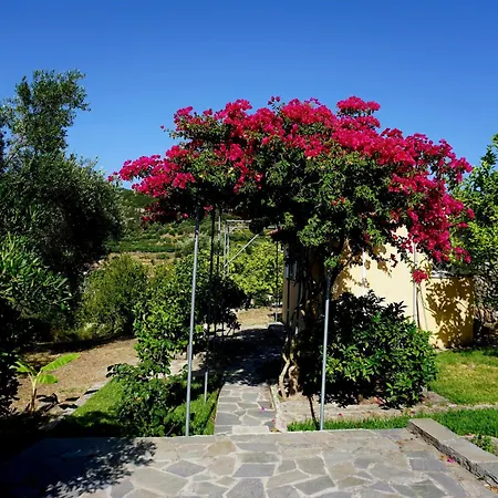 Ionian Overlook Vakantiehuis *