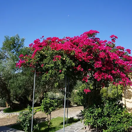 Ionian Overlook Vakantiehuis